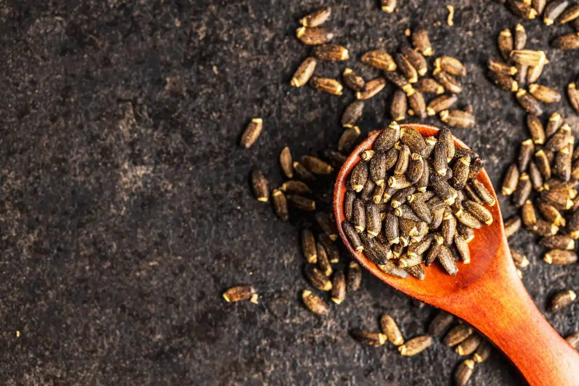 Chardon marie : dangers et effets indésirables Nutrimea