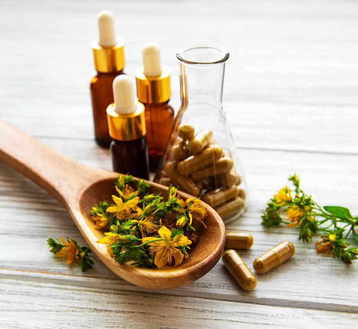 Millepertuis : ses effets et ses propriétés