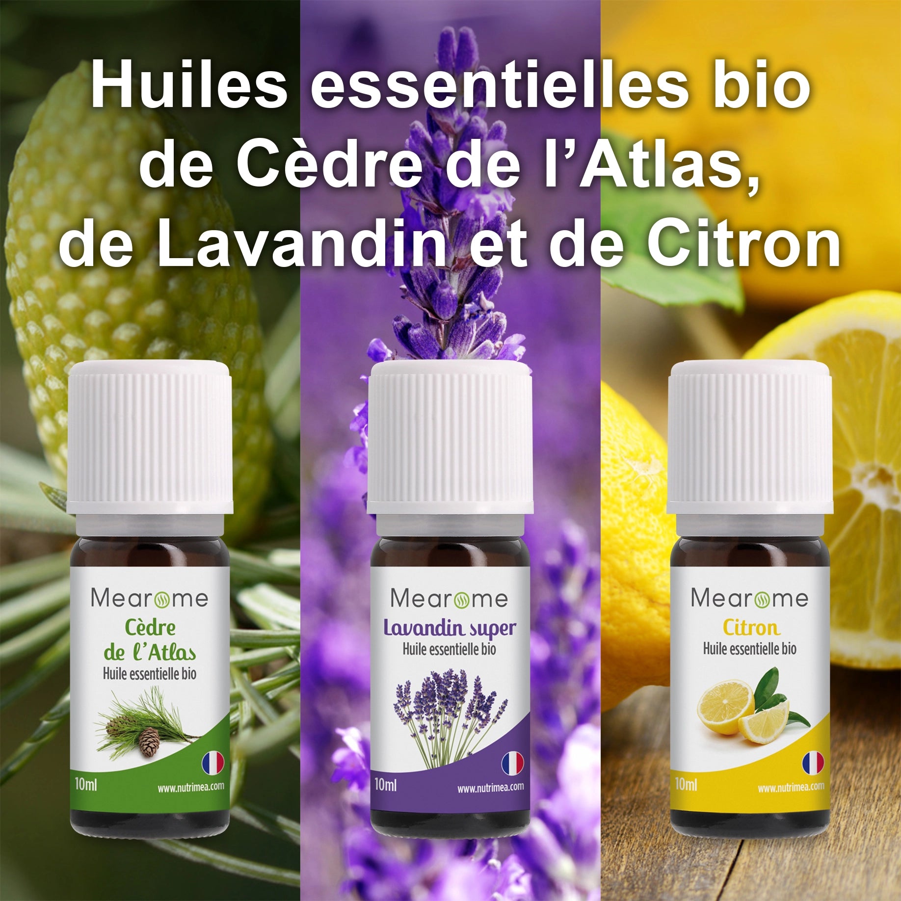 Aromathérapie - Coffret Cygna Plénitude - 8 Huiles Essentielles BIO AB