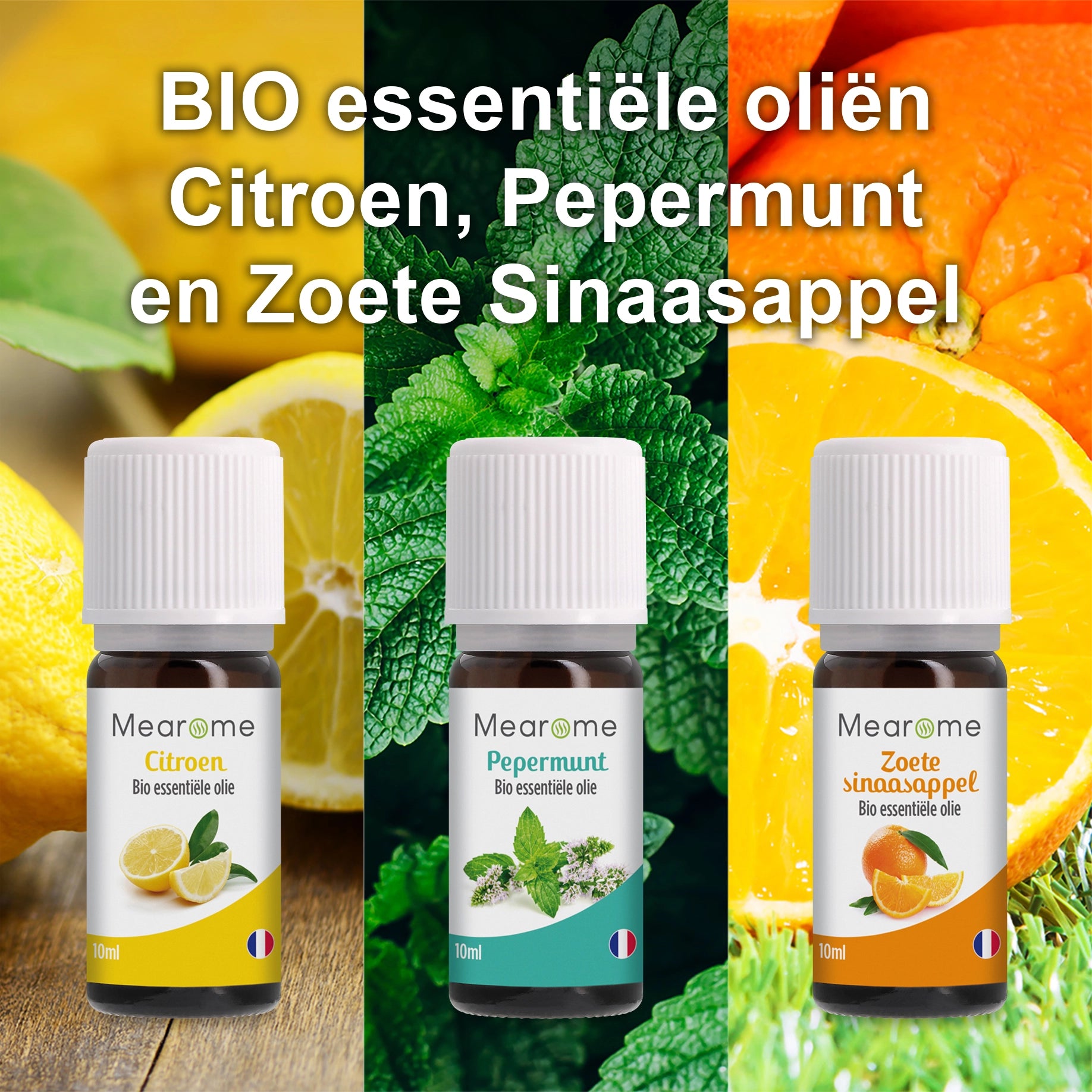 COFFRET INITIATION NL