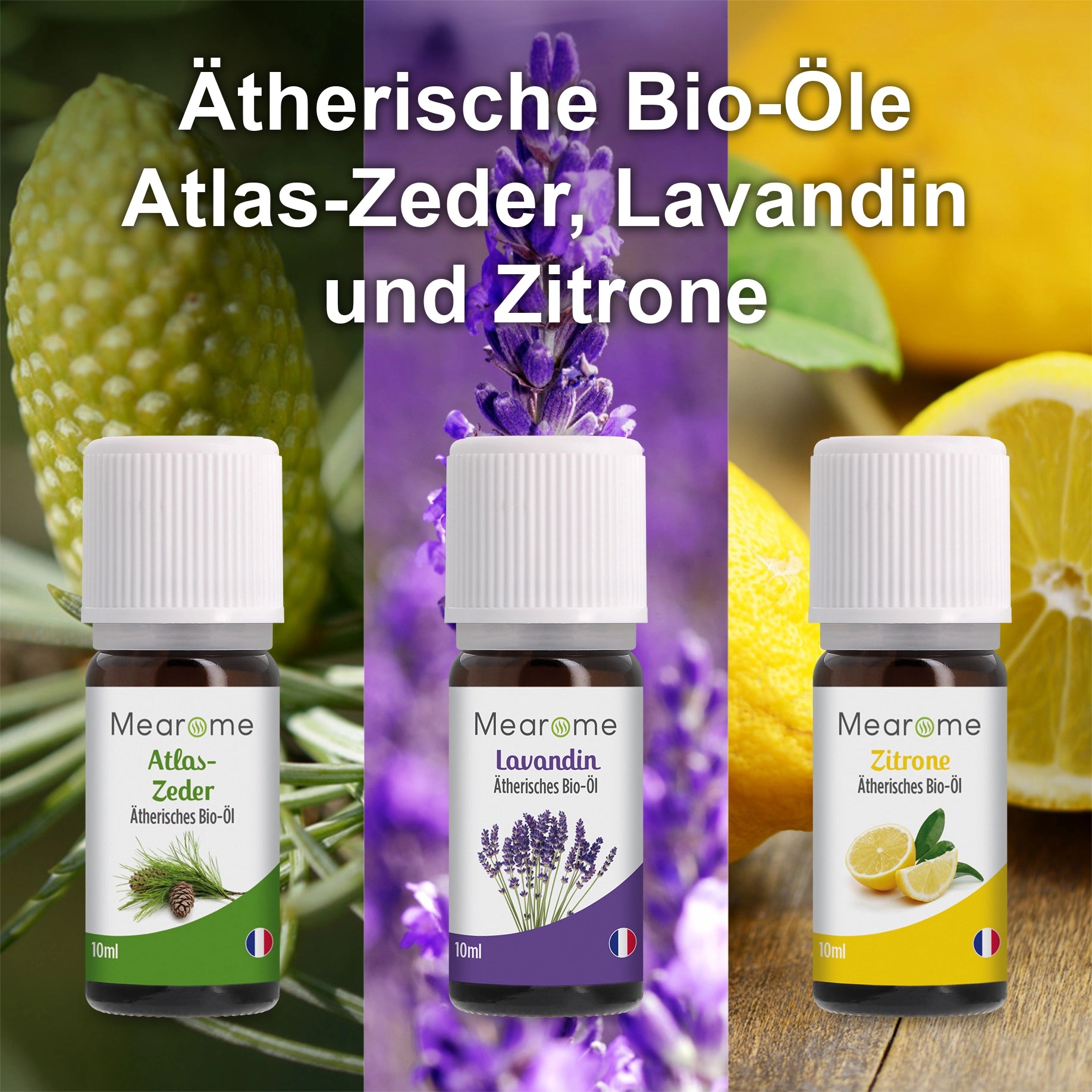 Aromatherapie Geschenk-Set - 8 Ätherische Öle 100% BIO