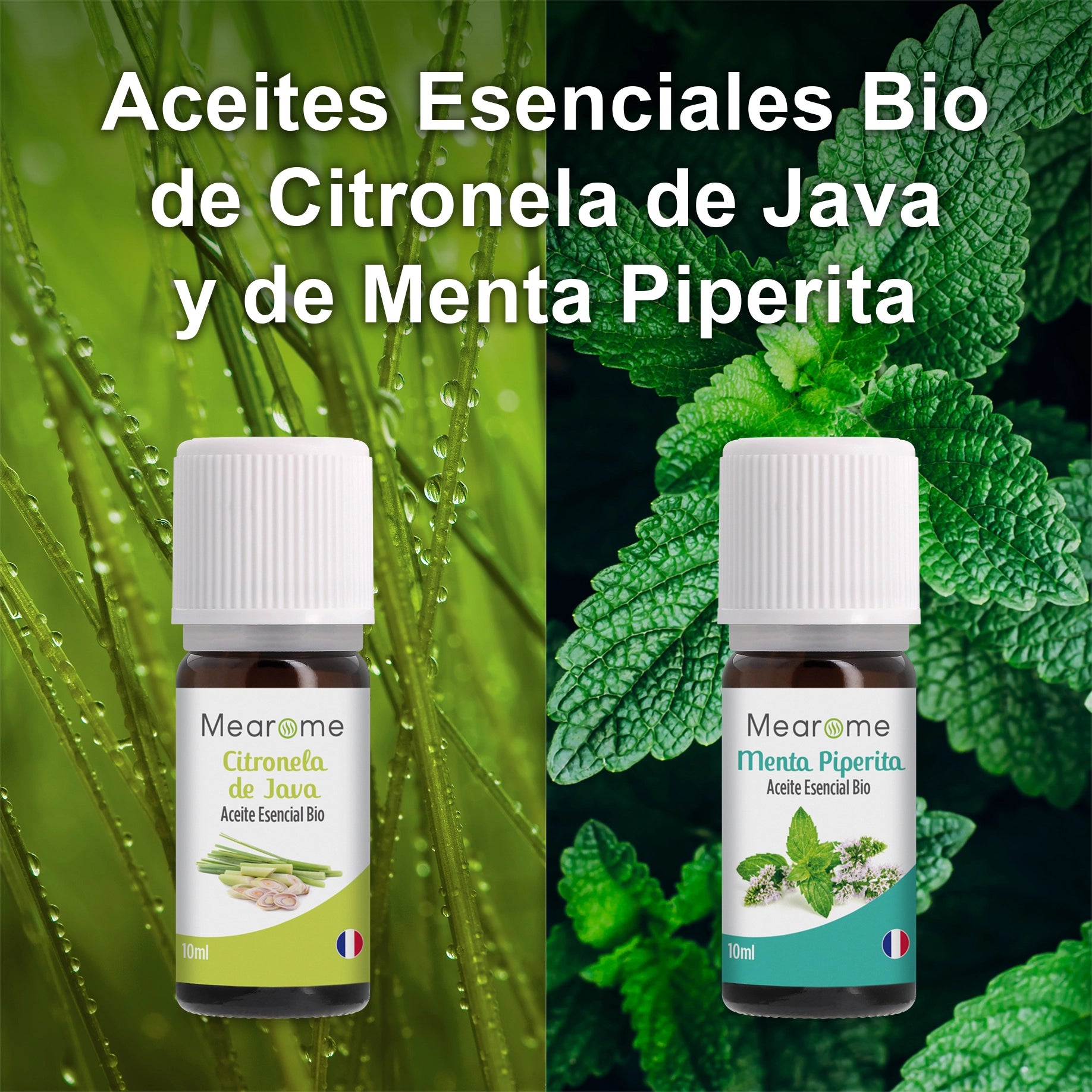 Set de 8 aceites esenciales Bio
