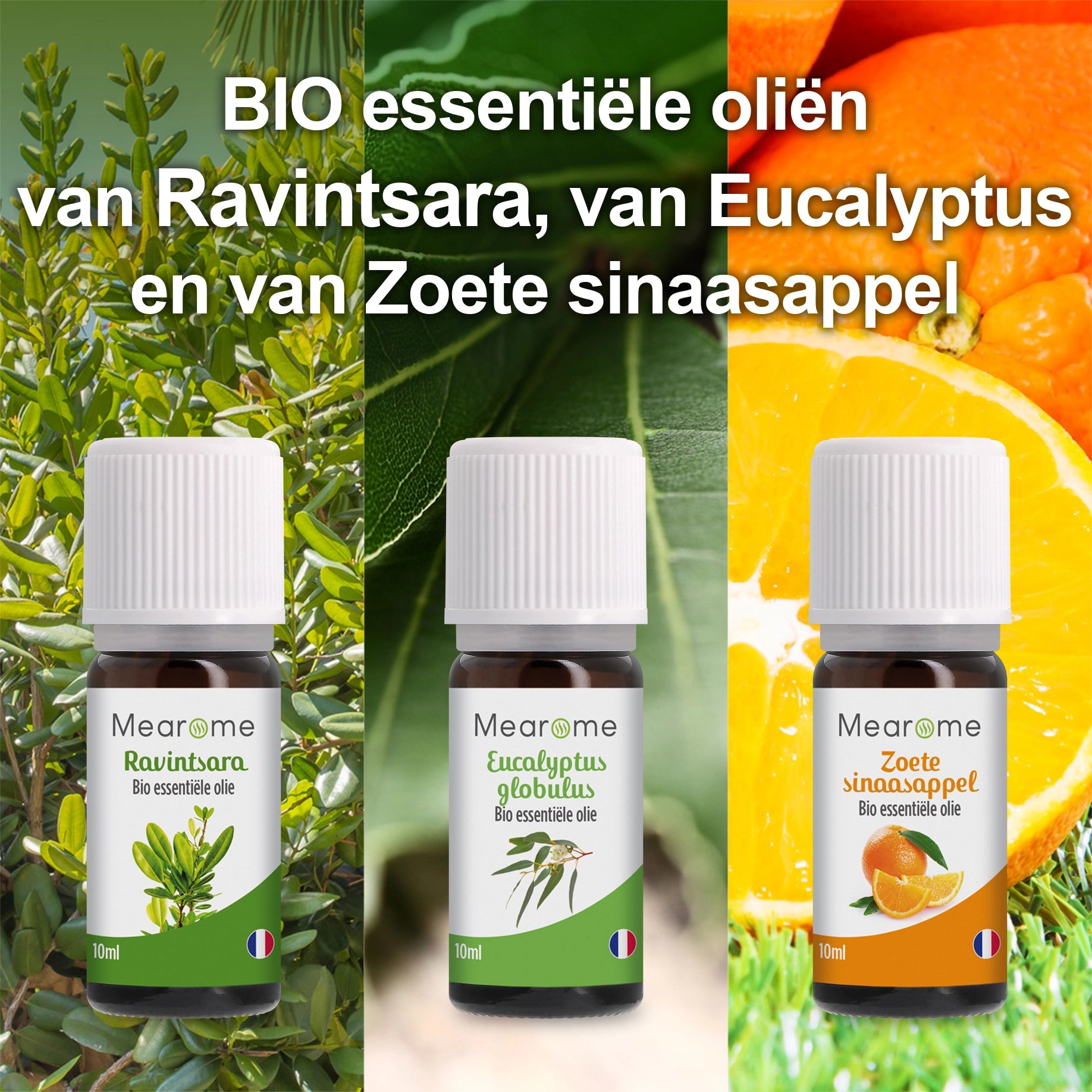 COFFRET PLENITUDE NL