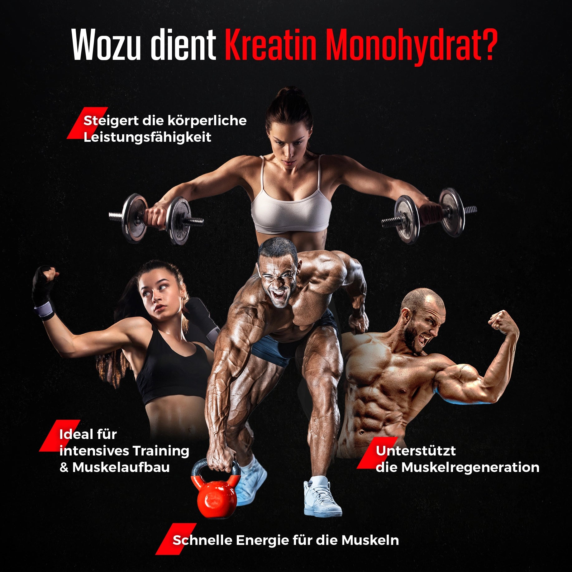 Kreatinmonohydrat Creapure® - Pulver