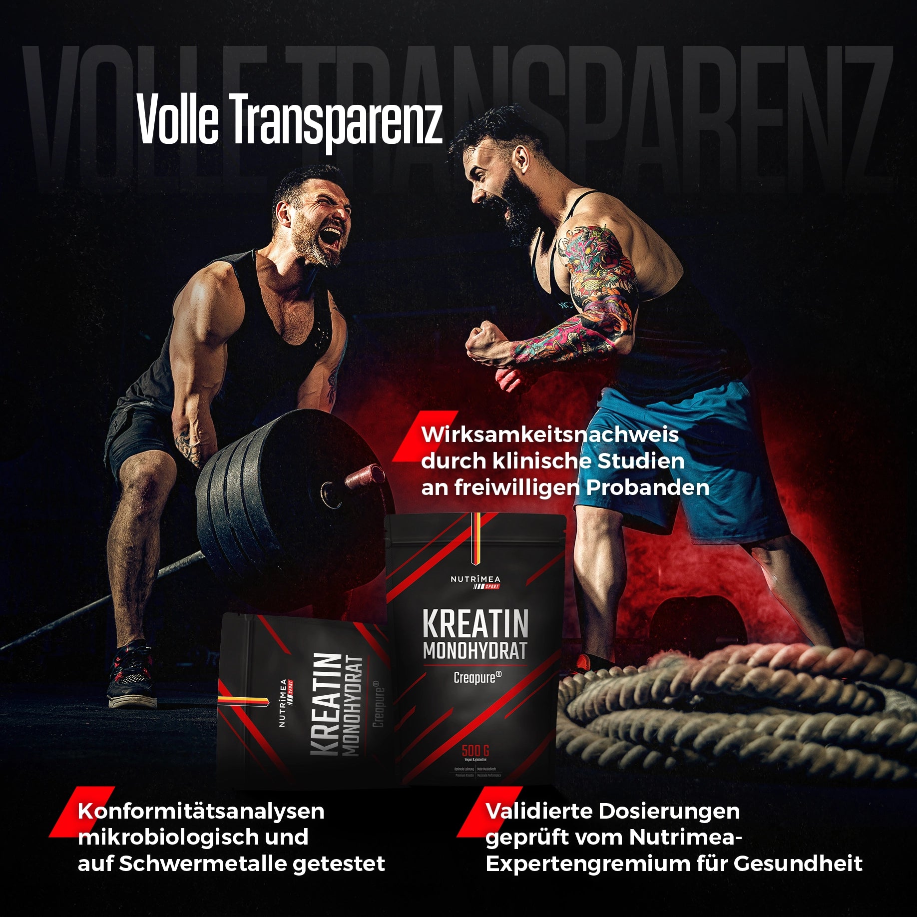 Kreatinmonohydrat Creapure® - Pulver