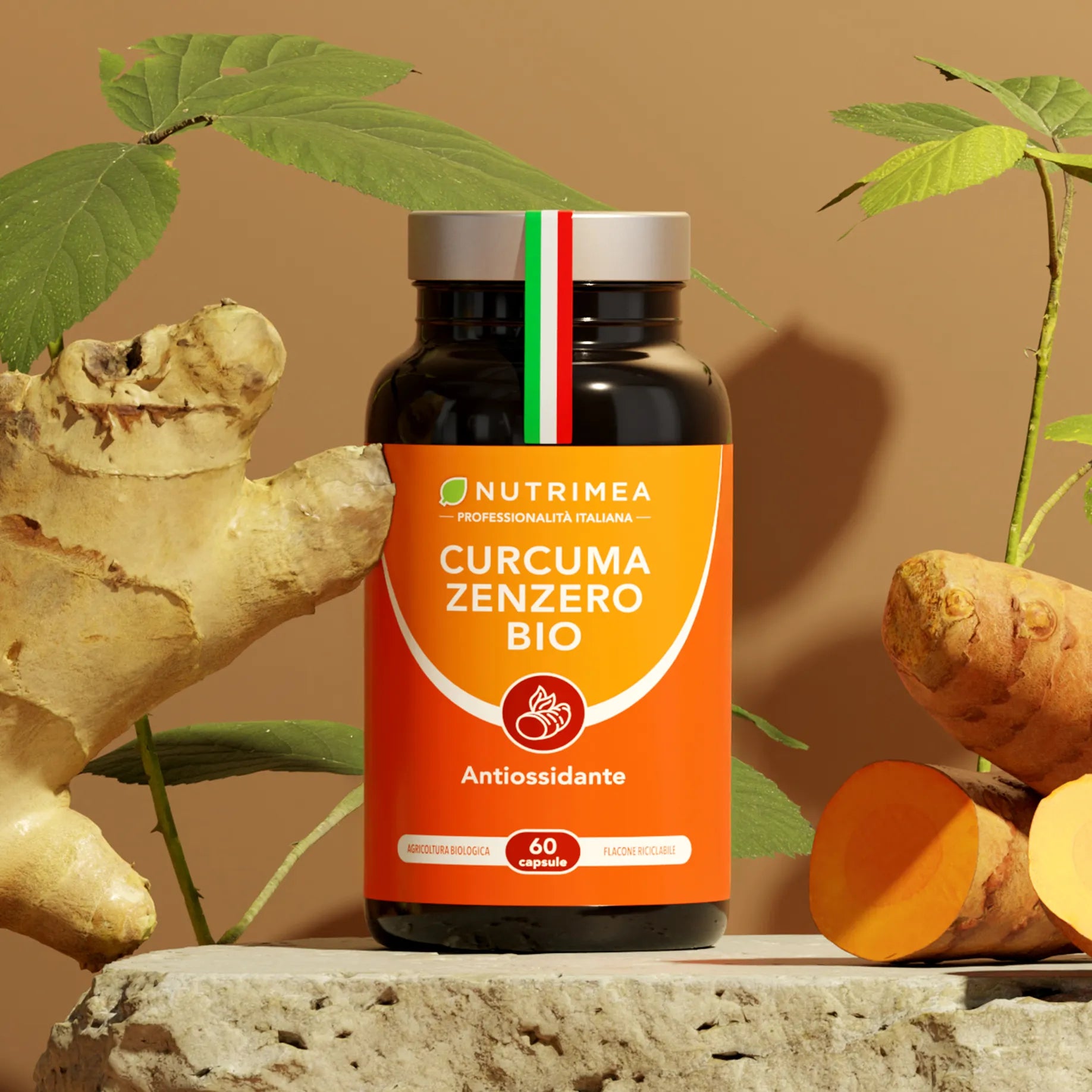 Curcuma Zenzero Bio