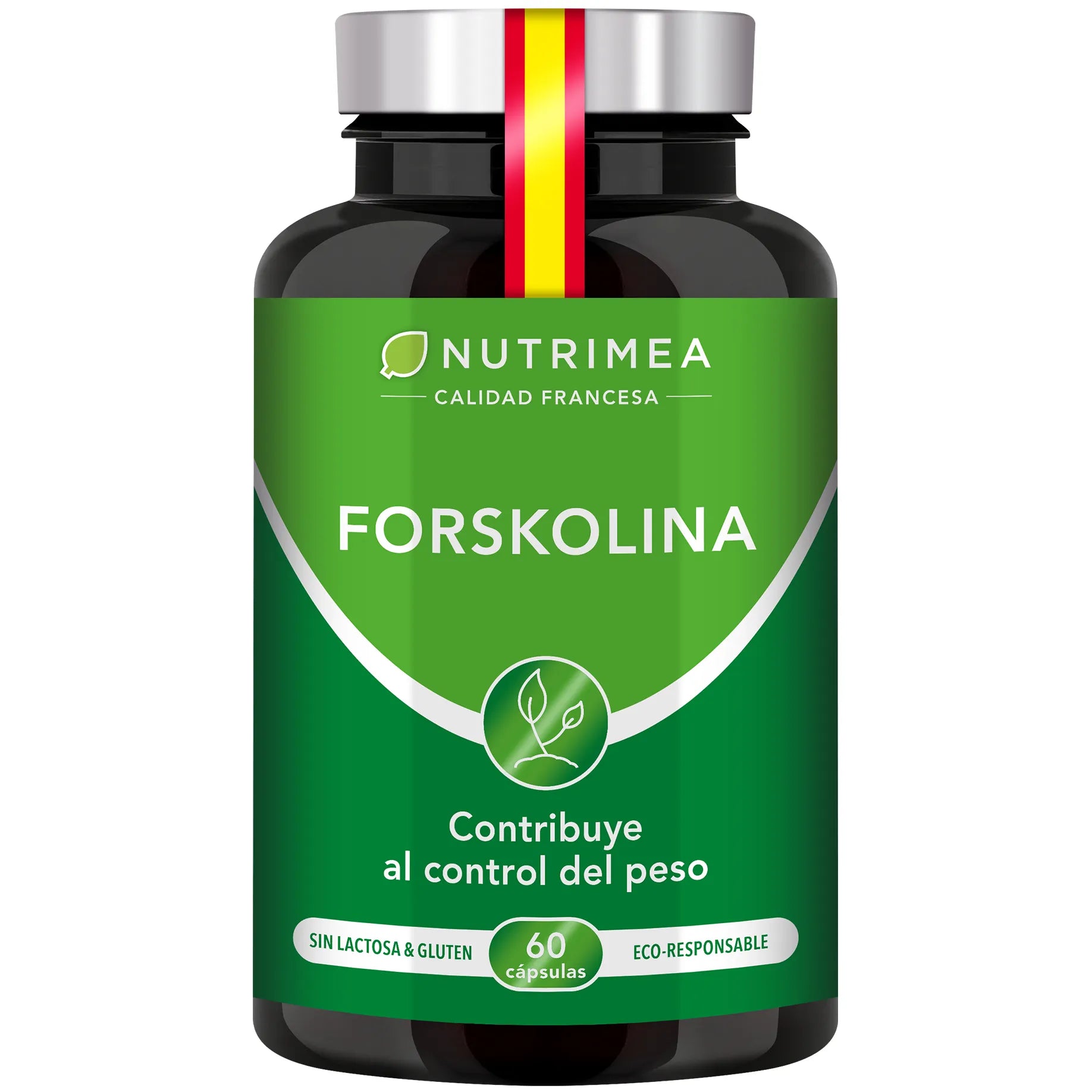 Forskolina | Coleus Forskohlii