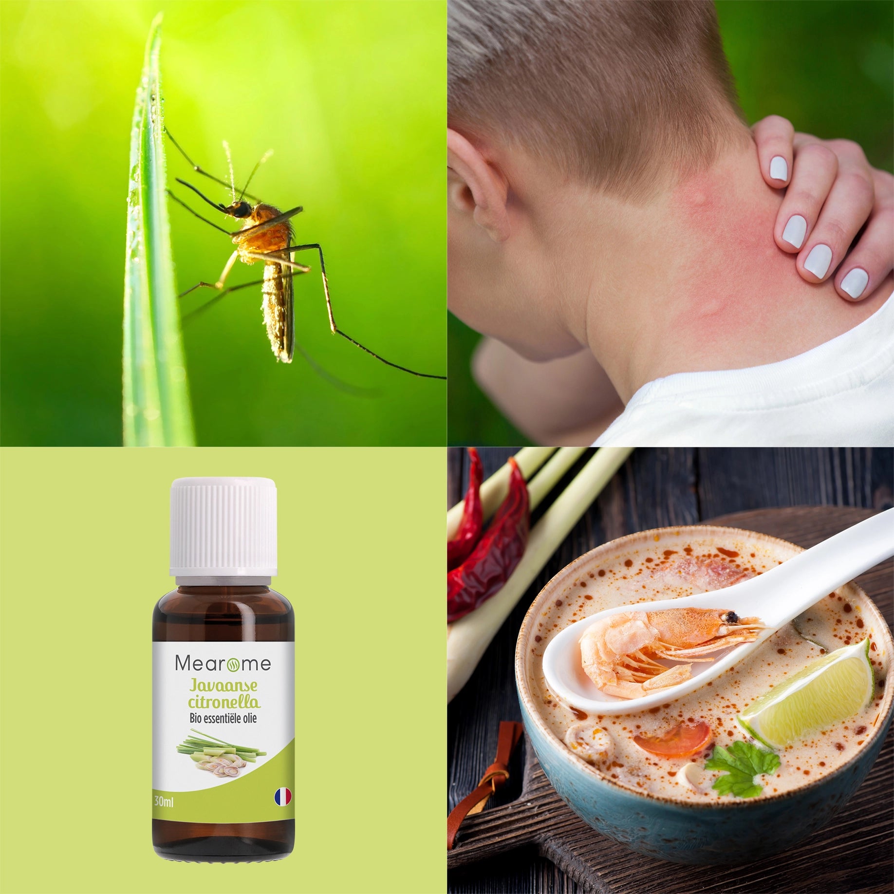NL - Citronnelle de Java 30 ml