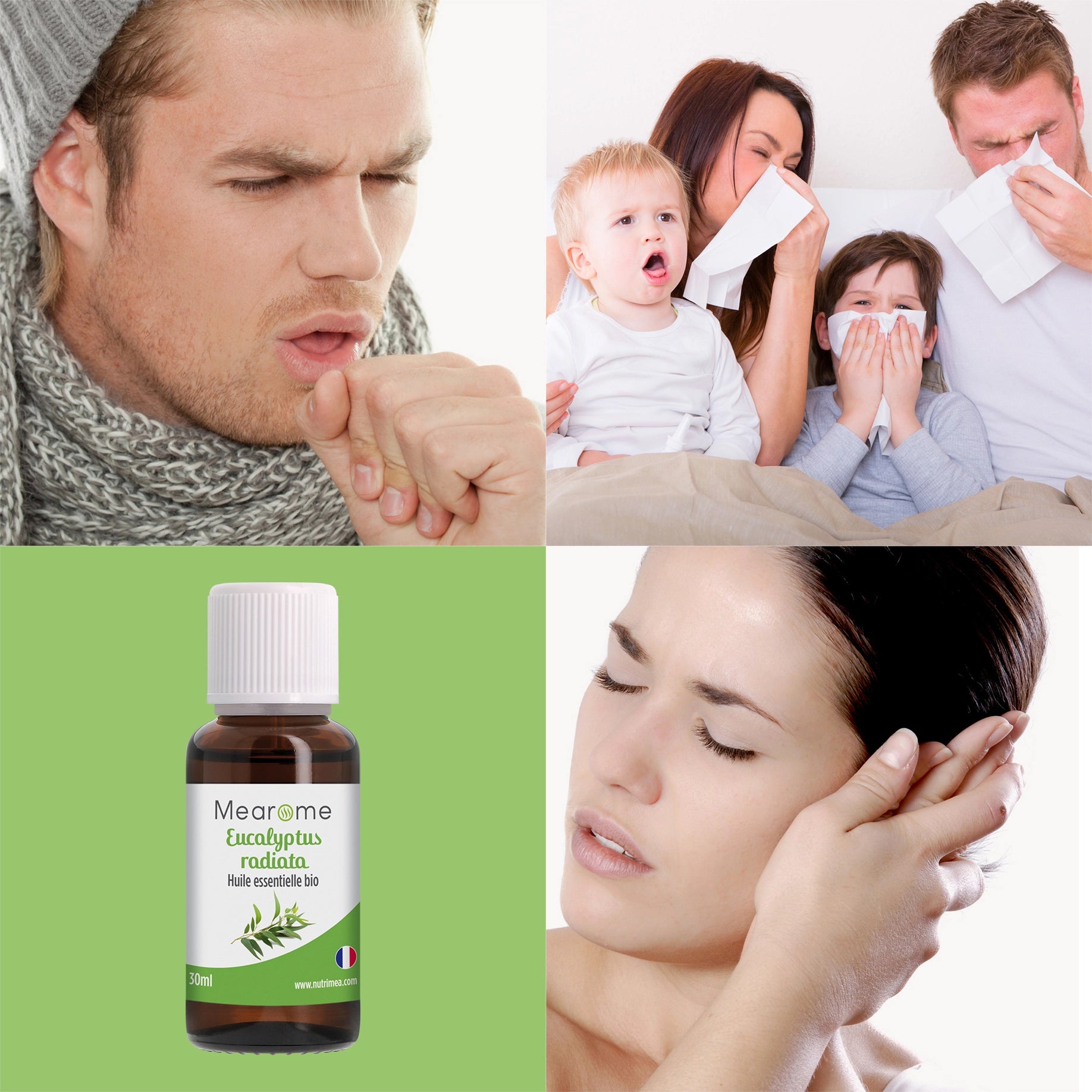 EUCALYPTUS RADIATA - Huile Essentielle Bio AB 30 ml