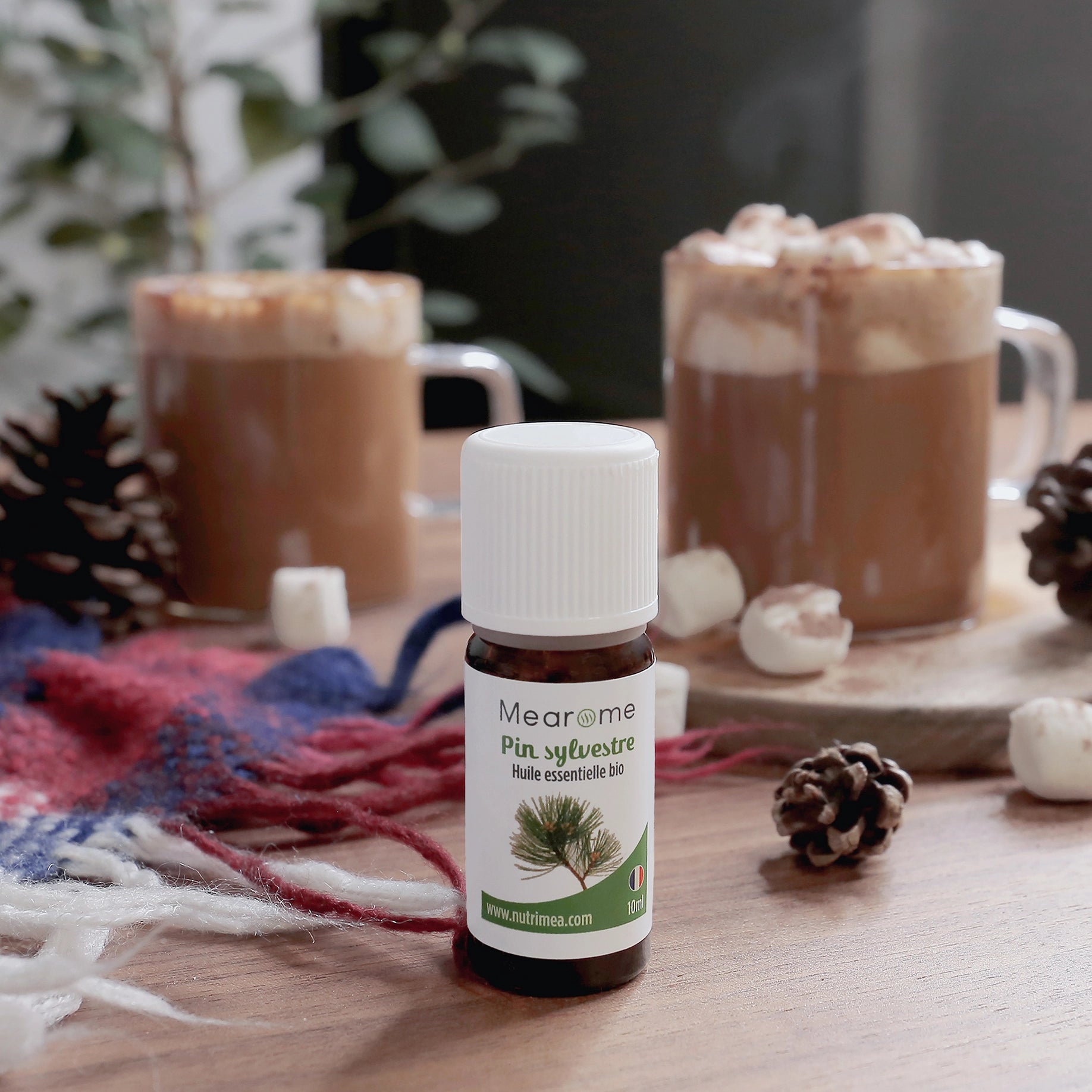 PIN SYLVESTRE - Huile Essentielle BIO AB 10 ml