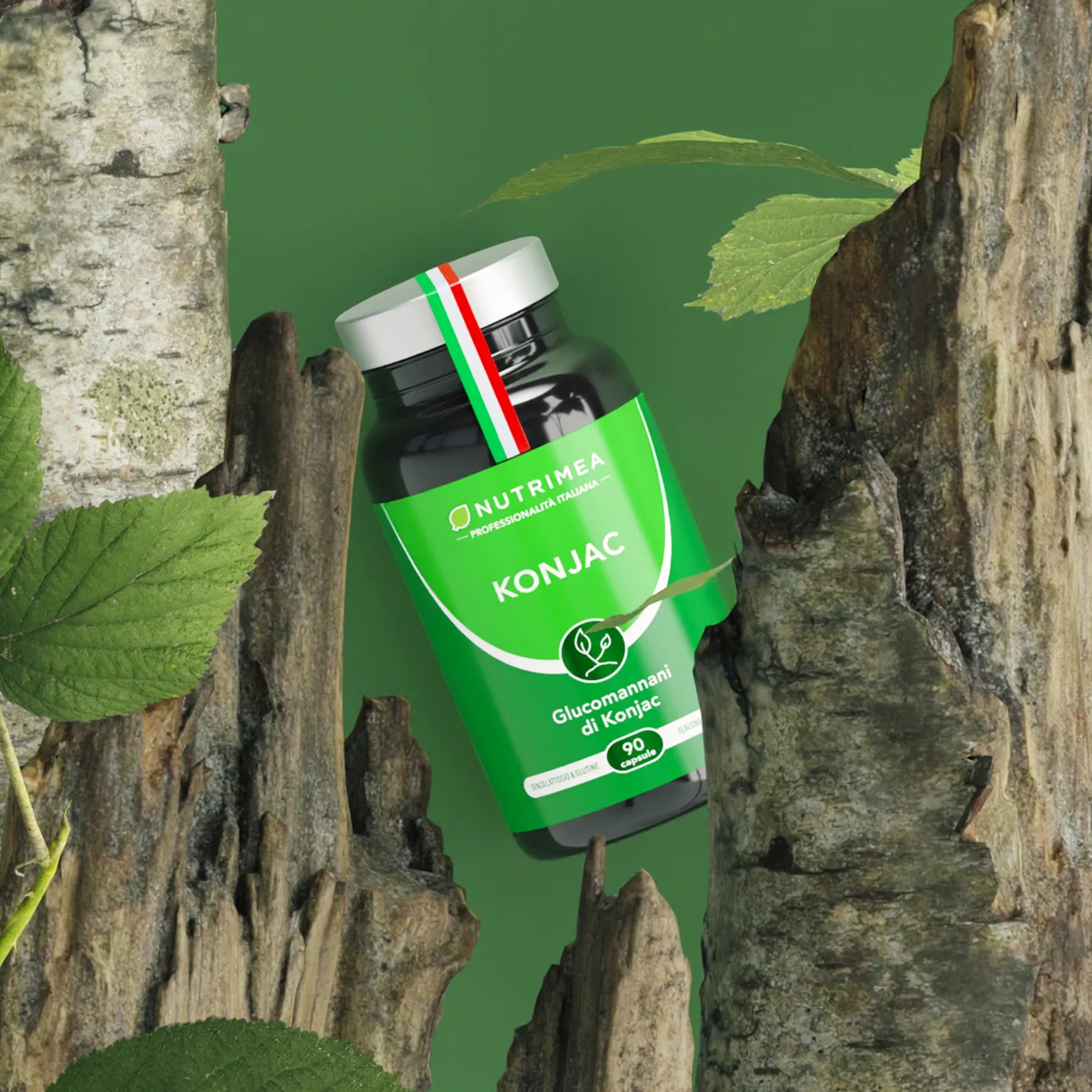 Glucomannano di Konjac