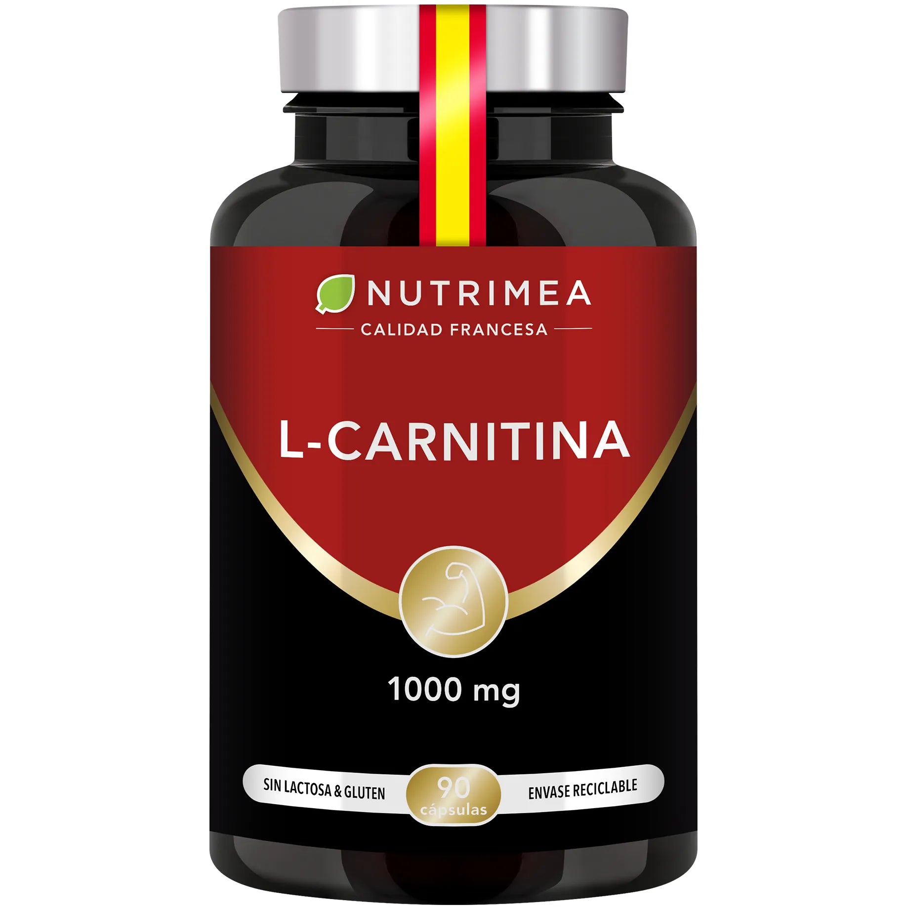 L- Carnitina