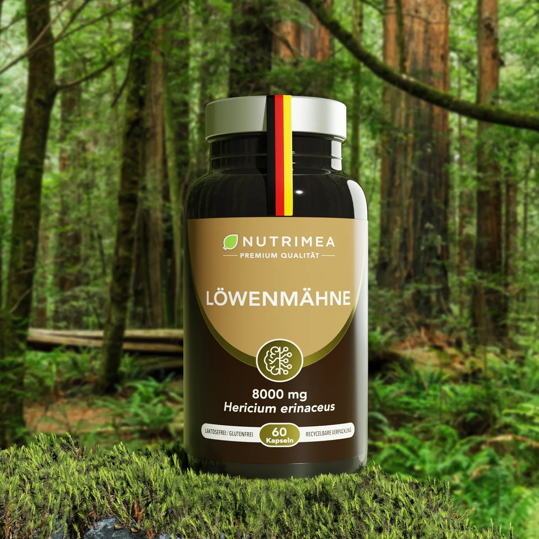 Löwenmähne (Hericium erinaceus) - Igelstachelbart