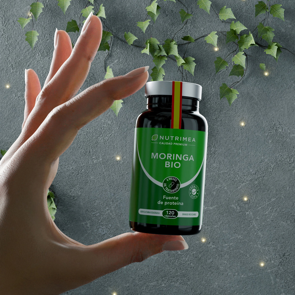 Moringa  Oleifera Bio