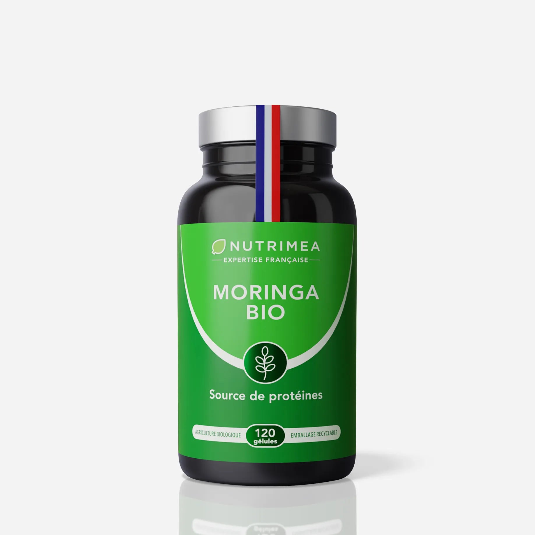 Acheter Moringa Oleifera Bio