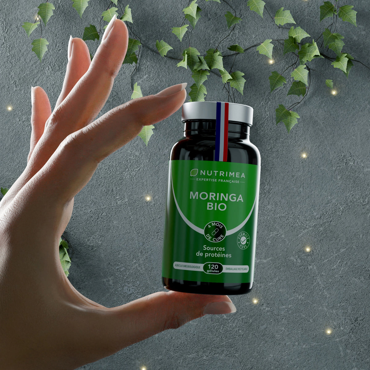 Moringa Oleifera Bio en complément alimentaire