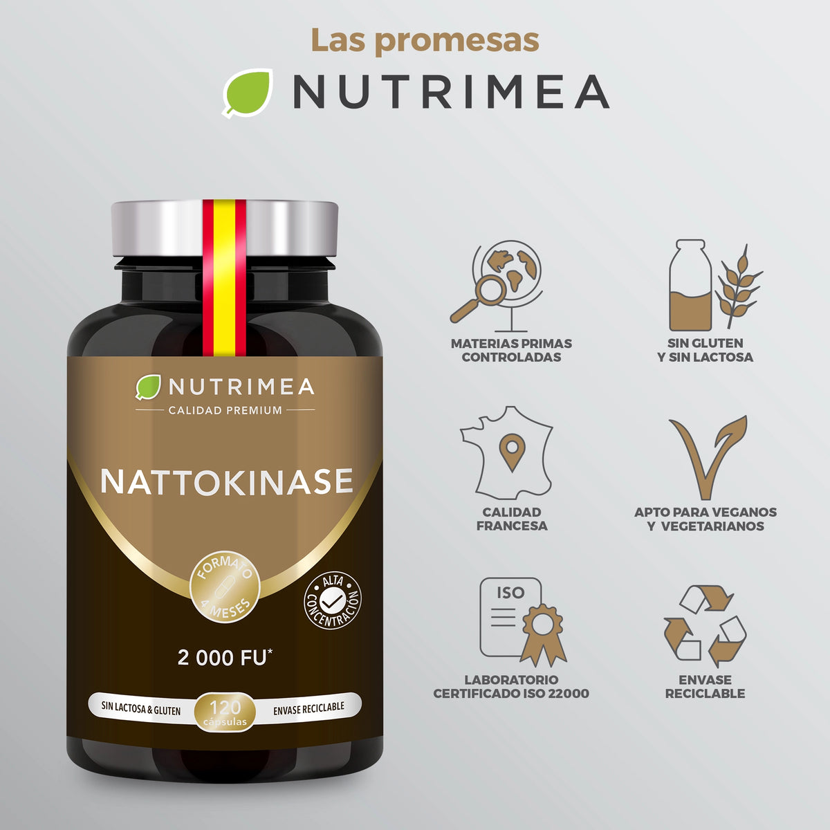 Nattokinase