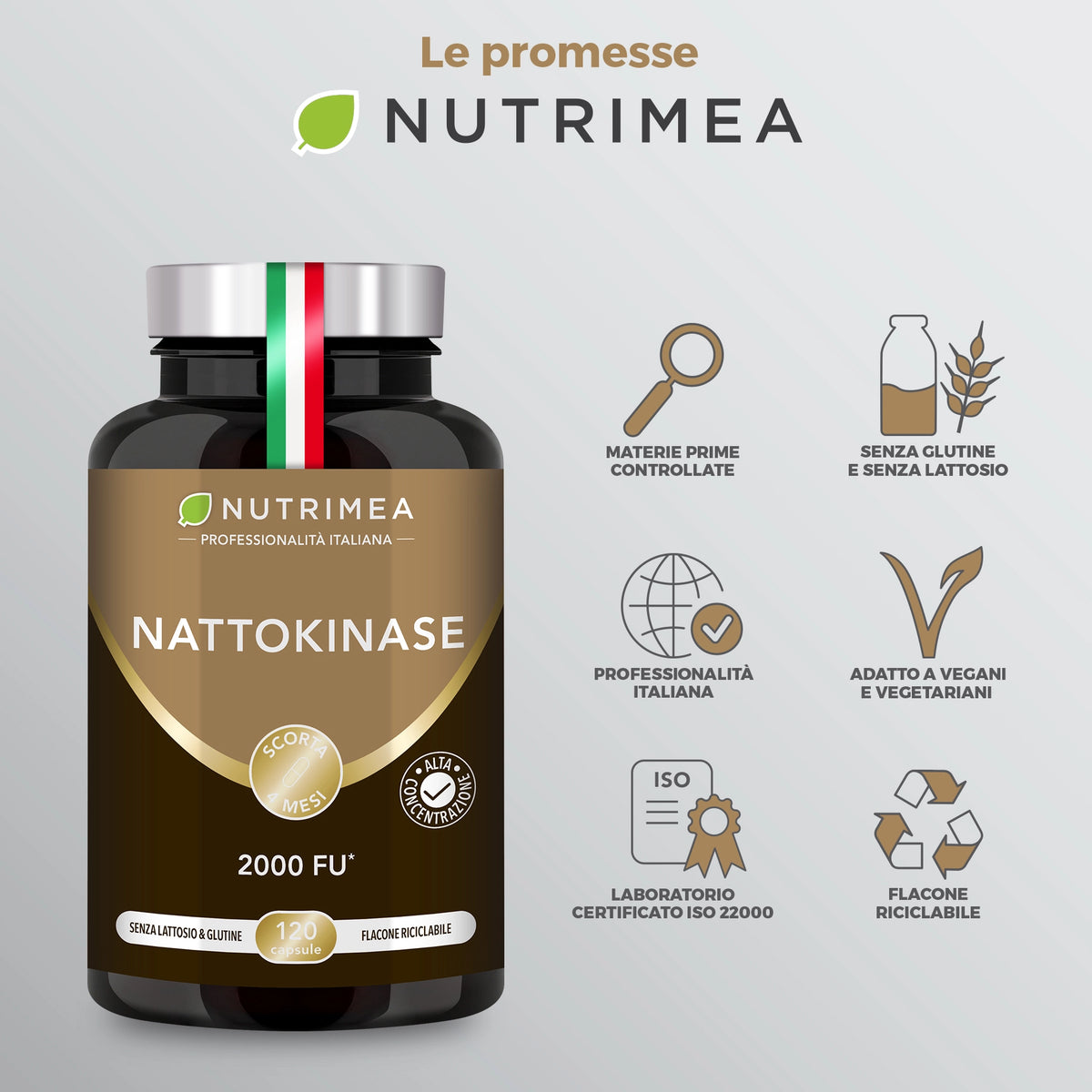 Nattokinase