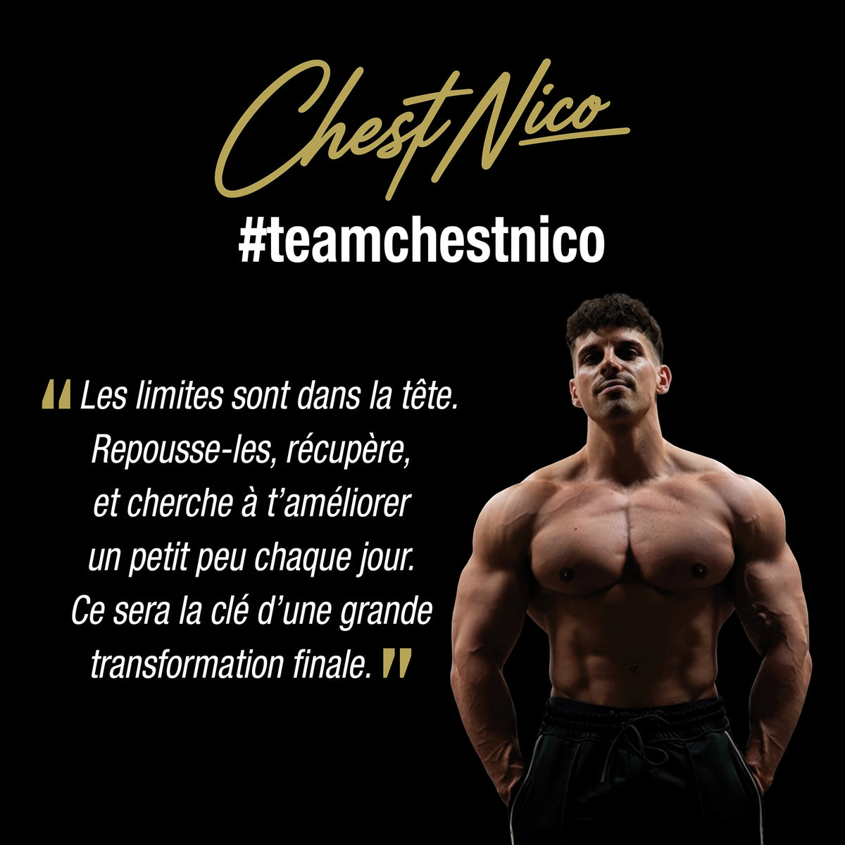 Whey ChestNico