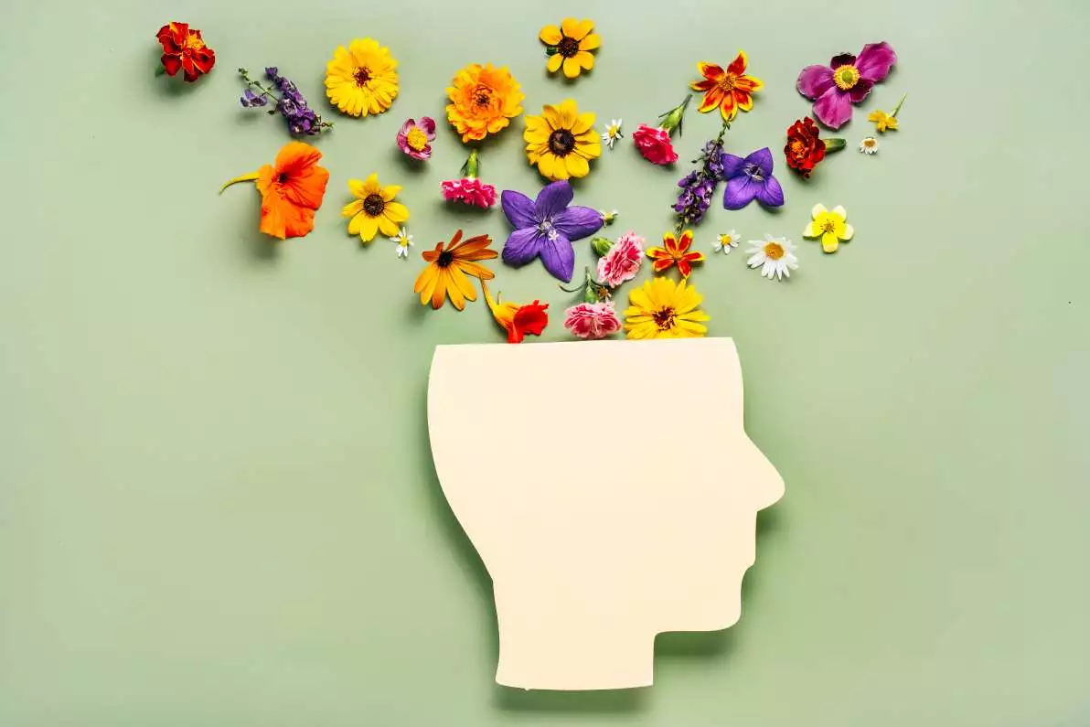 Représentation conceptuelle de la santé mentale