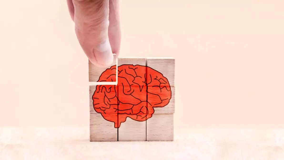 Puzzle en bois du cerveau