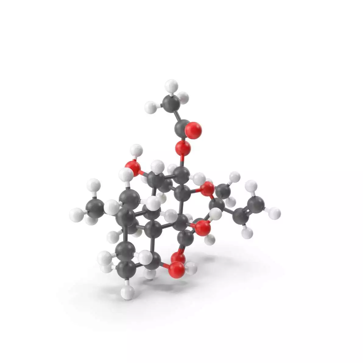 Molécule de Forskoline
