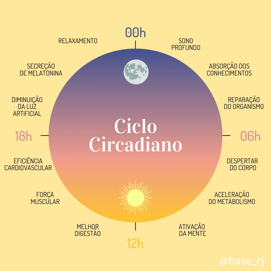 Ciclo circadiano Ciclo circadiano