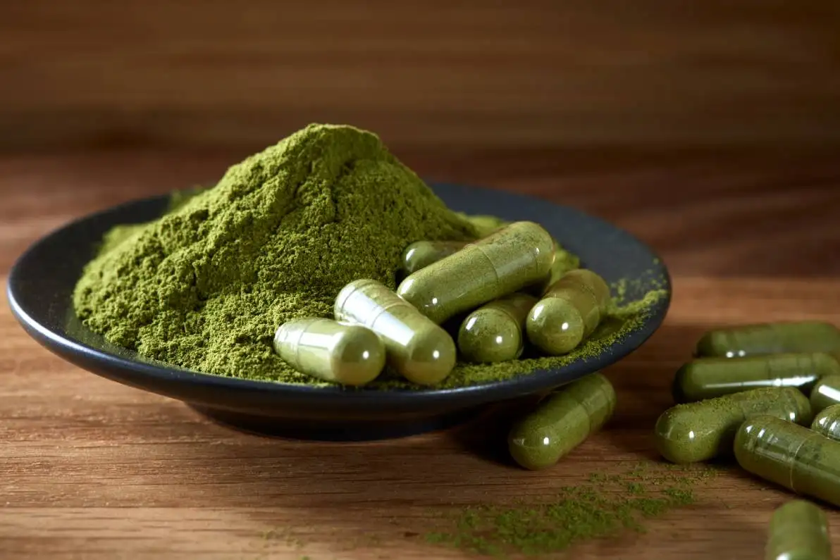 Capsules remplies de poudre de Moringa