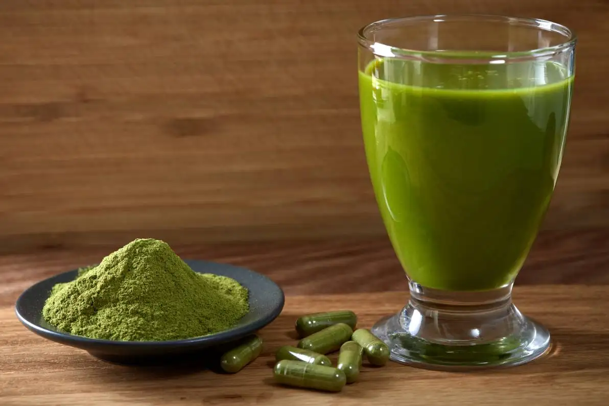 Capsules remplies de poudre de Moringa et de jus de moringa