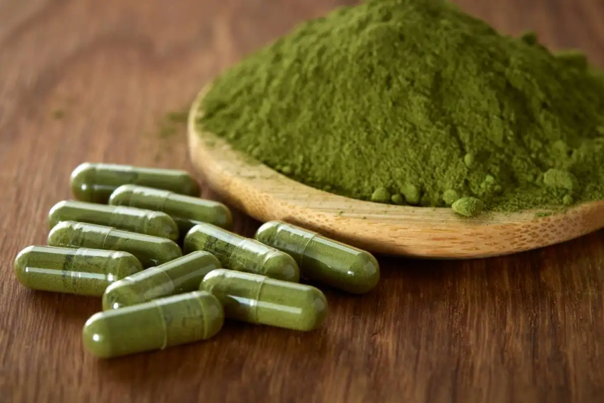 Capsules remplies de poudre de Moringa