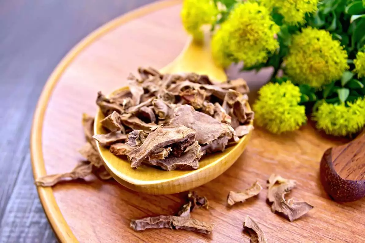 Rhodiola séché