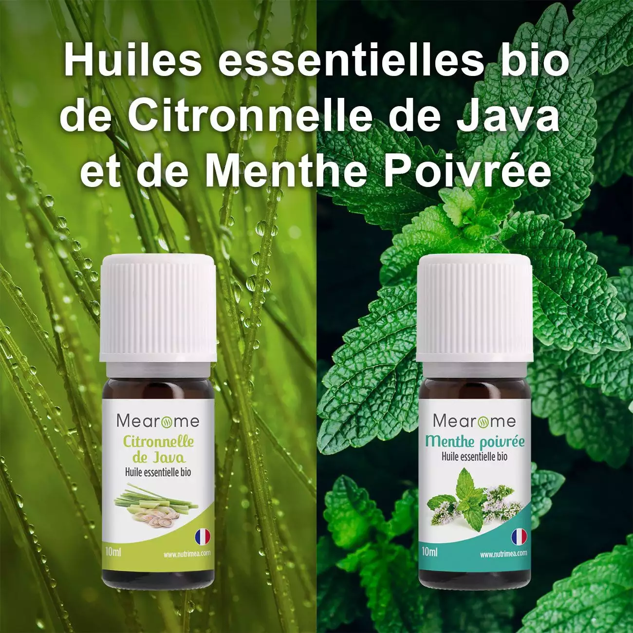 Acheter Coffret Plénitude - 8 Huiles Essentielles BIO