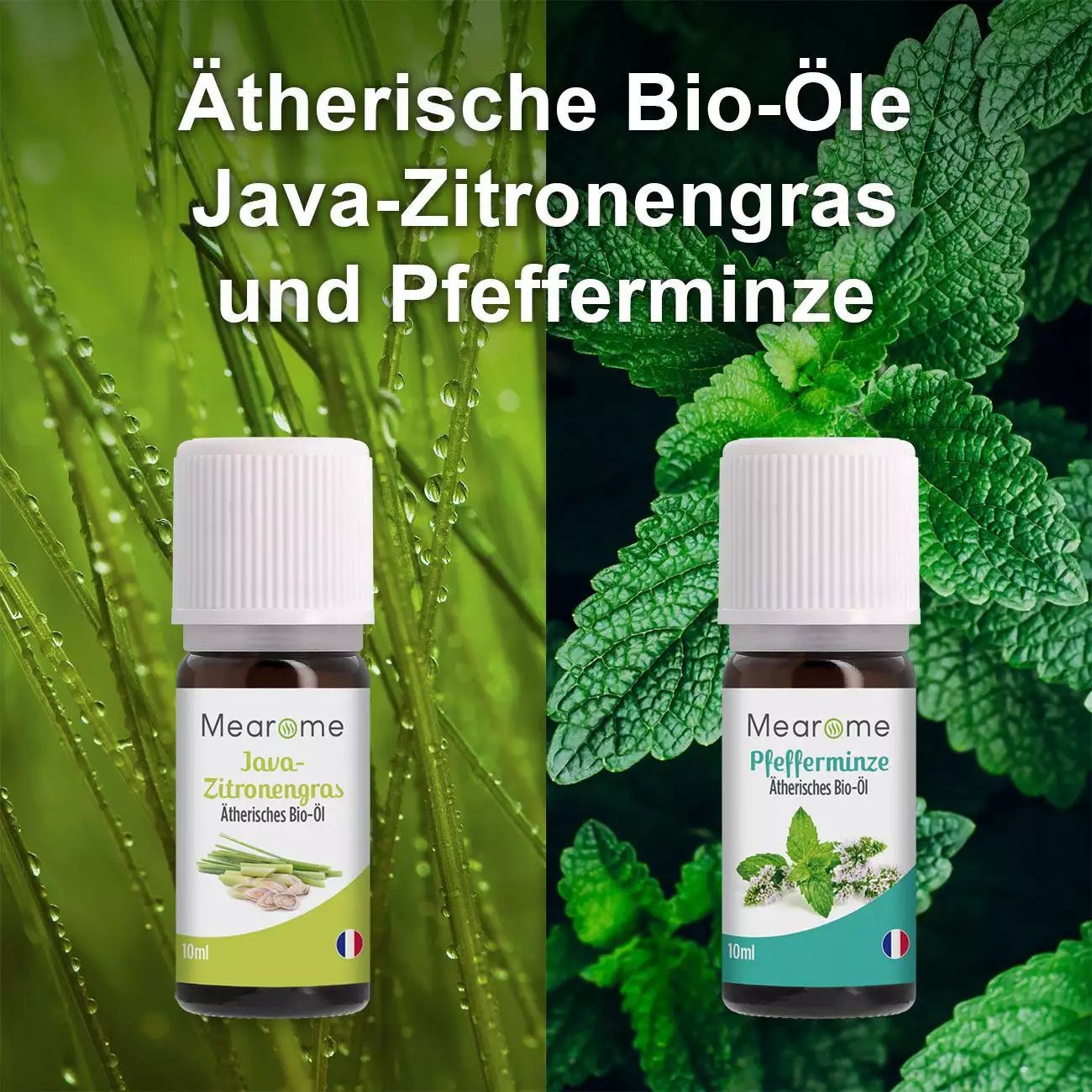 Bild der Beilage Aromatherapie Geschenk-Set - 8 Ätherische Öle 100% BIO