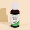 Eukalyptus Radiata BIO 30ml
