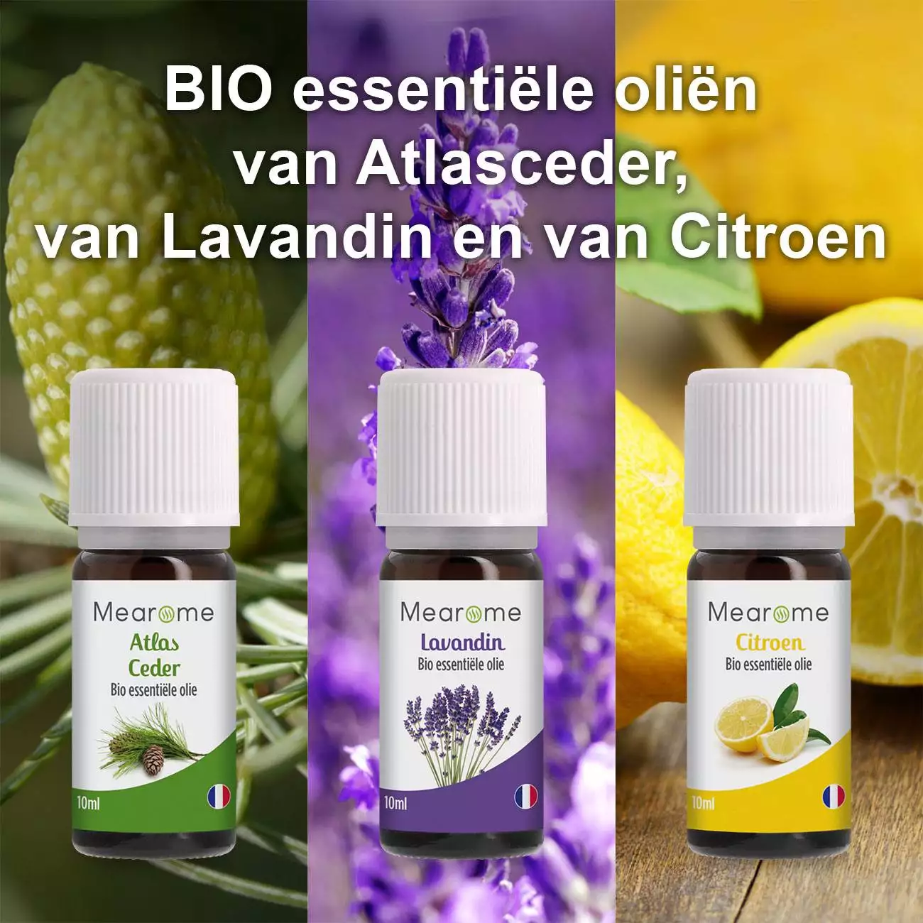 Kopen COFFRET PLENITUDE NL