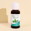 Pfefferminze - Ätherisches Öl BIO