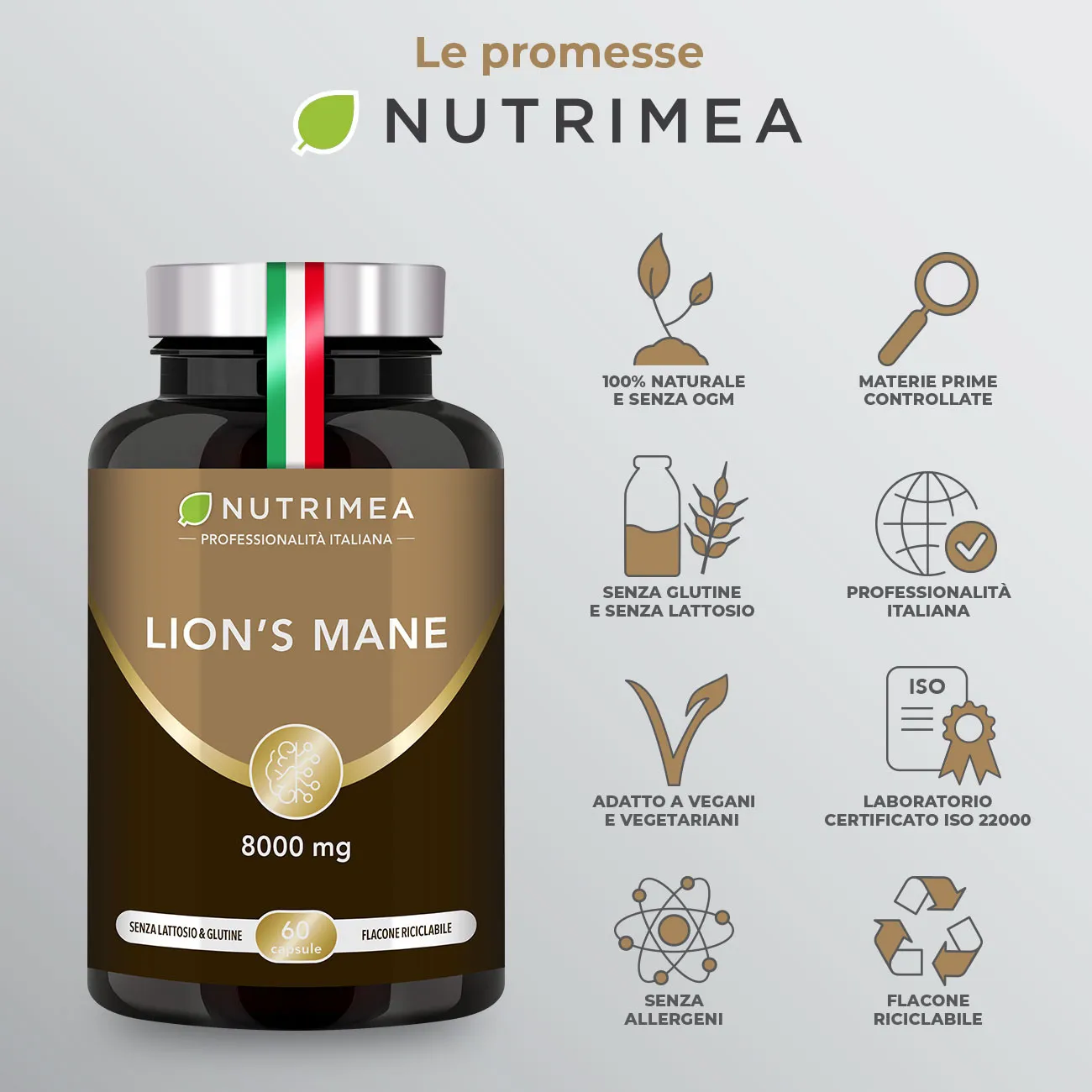 Benefici e controindicazioni di Lion's Mane, Criniera di Leone Benefici e controindicazioni di Lion's Mane, Criniera di Leone