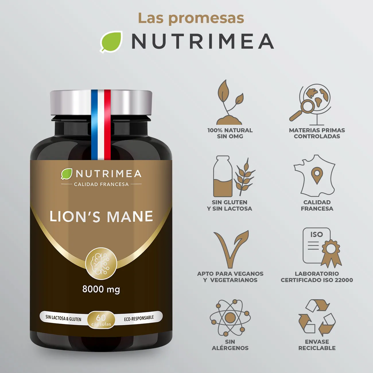 Nutrimea promesas Nutrimea promesas