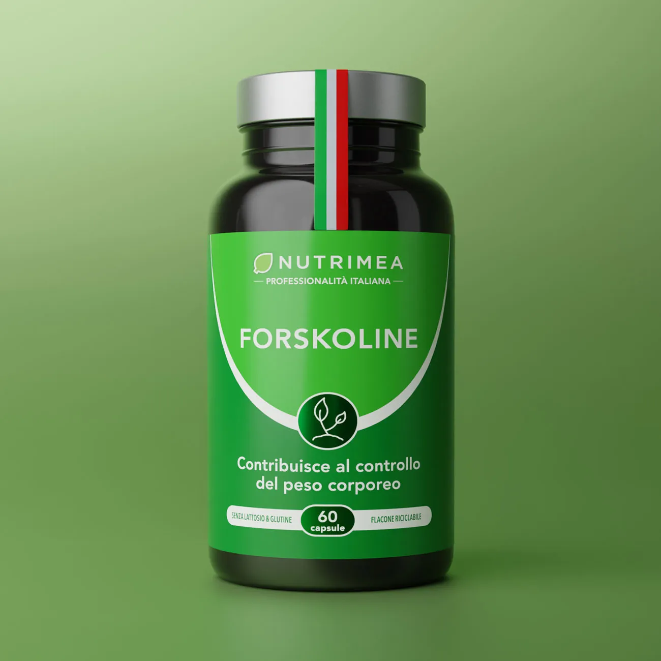 Acquista Forskolina Acquista Forskolina