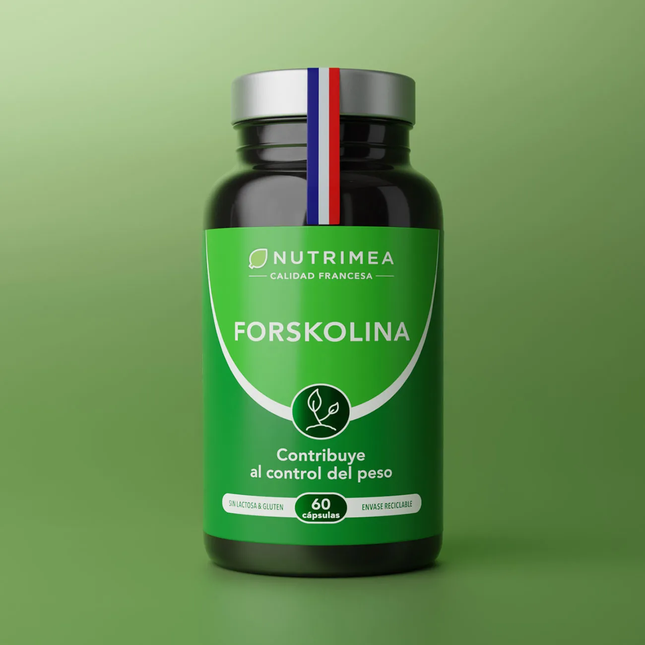 Comprar Forskolina | Coleus Forskohlii Comprar Forskolina | Coleus Forskohlii
