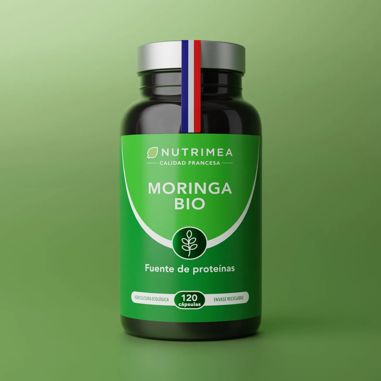 Comprar Moringa  Oleifera Bio