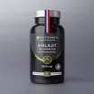 Shilajit