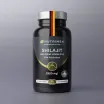 Shilajit