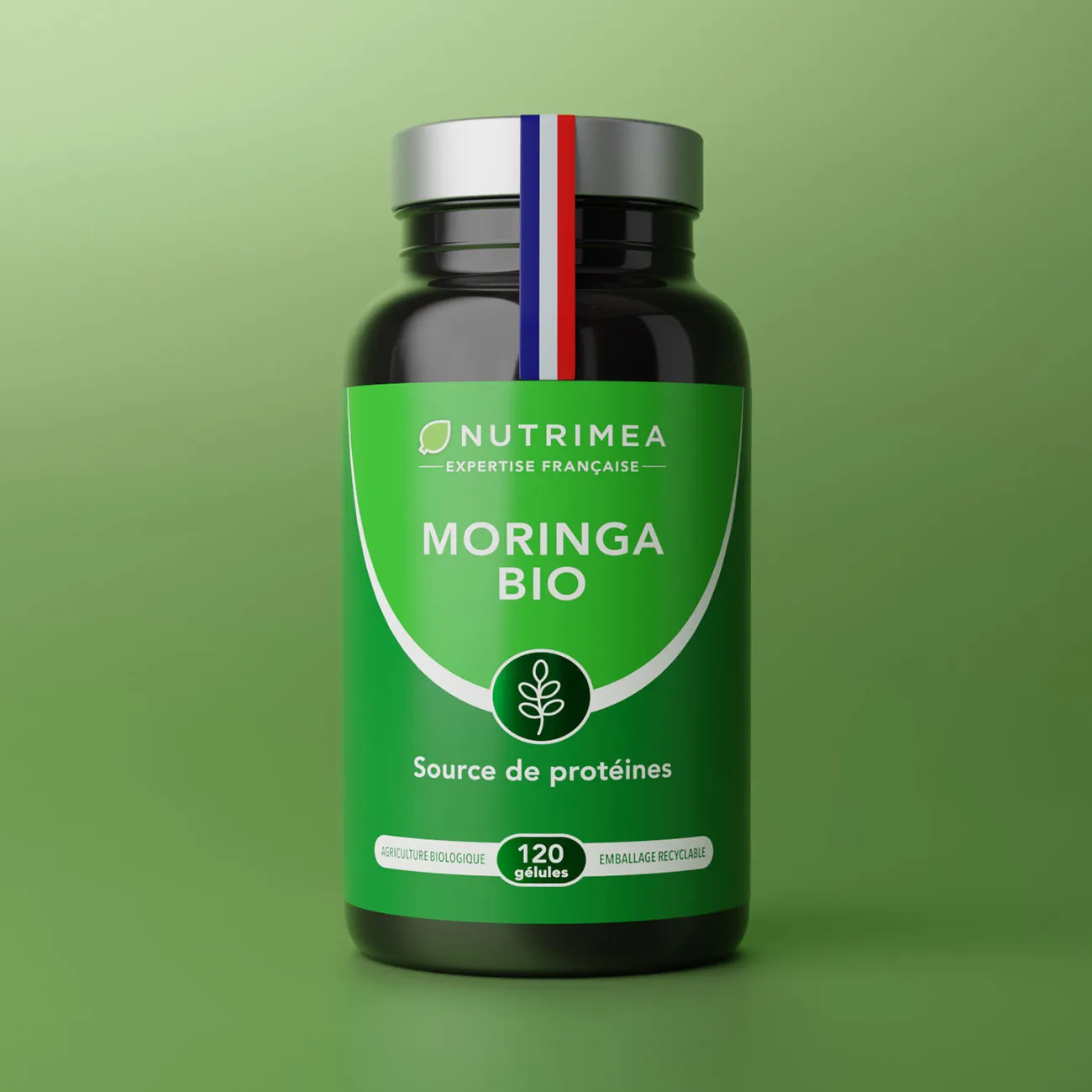 Acheter Moringa Oleifera Bio Acheter Moringa Oleifera Bio