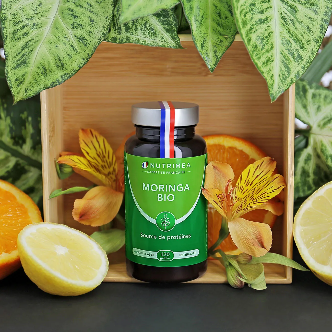 Moringa Oleifera Bio en complément alimentaire Moringa Oleifera Bio en complément alimentaire