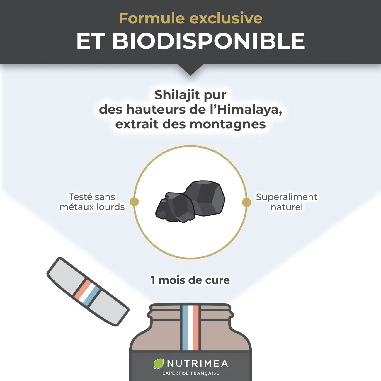 Biodisponibilité du Shilajit