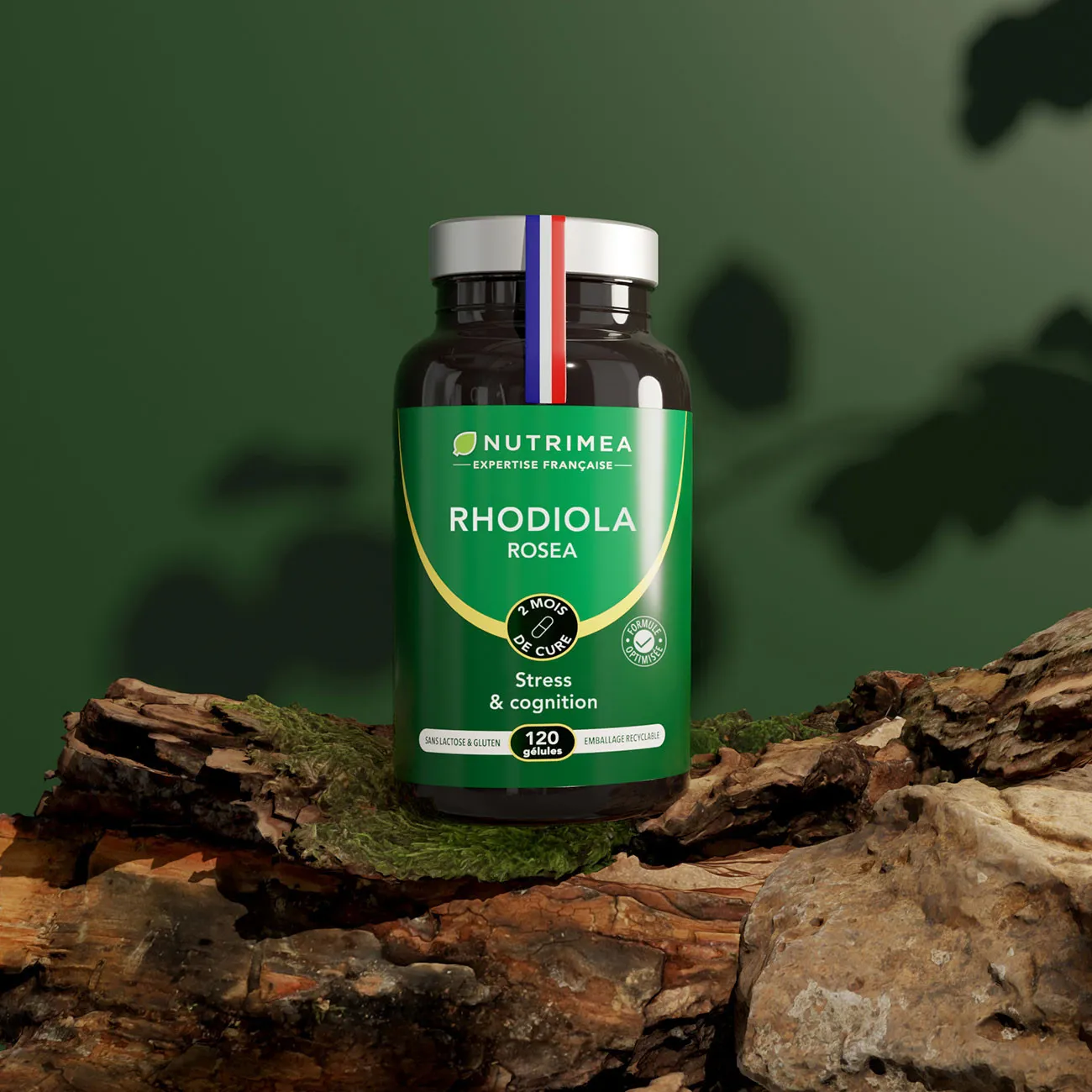 Rhodiola en complément alimentaire