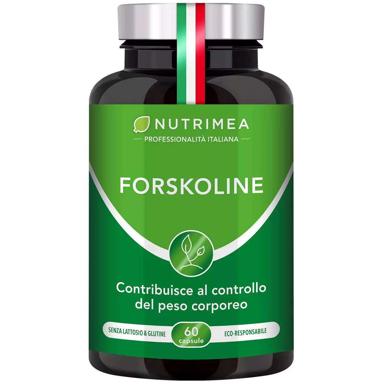 Sfondo bianco del portapillole Forskolina